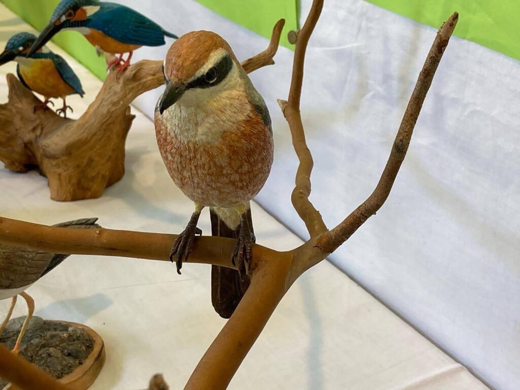 5921ca49-f844-4b41-8744-